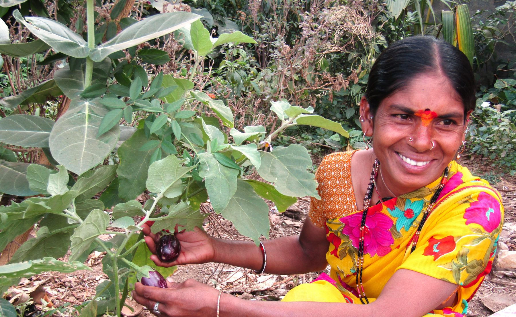 Nutrition garden