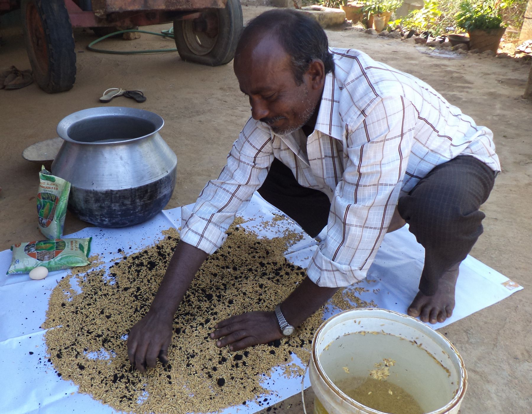 Seed selection in paddy