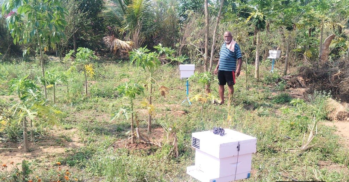 Honey bee boxes installation at Chikkonahalli